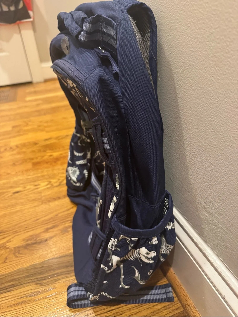 Pottery barn kids dinosaur backpack